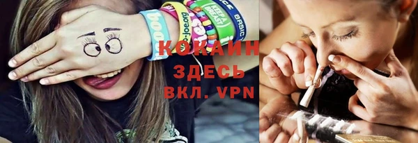 твердый Богородск