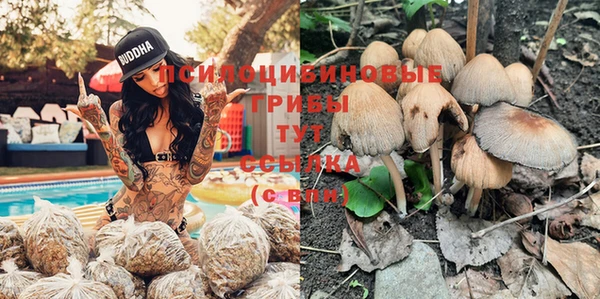прущая мука Богородицк